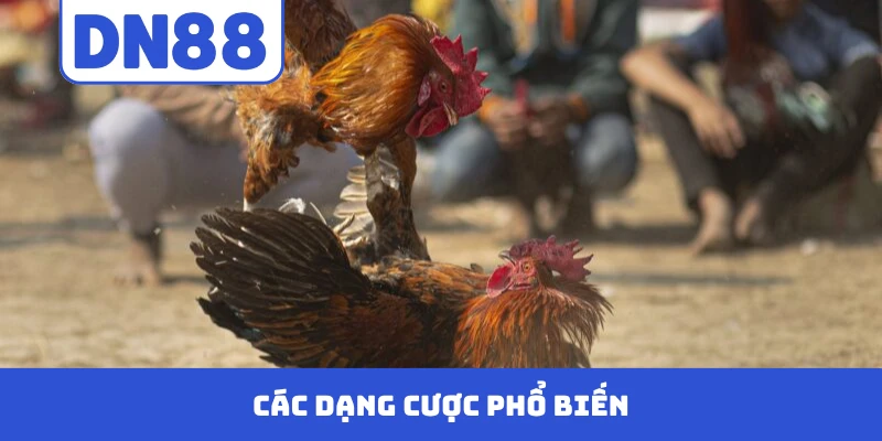 Các dạng cược phổ biến