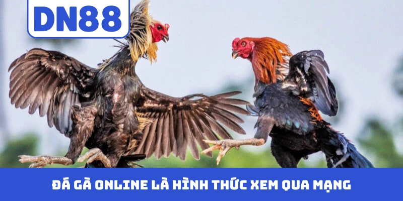 Đá gà online là hình thức xem qua mạng