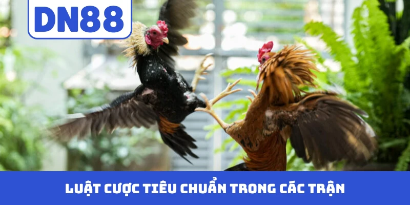 Luật cược tiêu chuẩn trong các trận