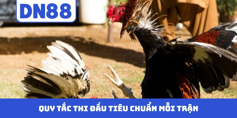 Quy tắc thi đấu tiêu chuẩn mỗi trận