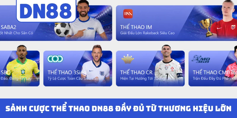 Sảnh cược thể thao DN88 đầy đủ từ thương hiệu lớn